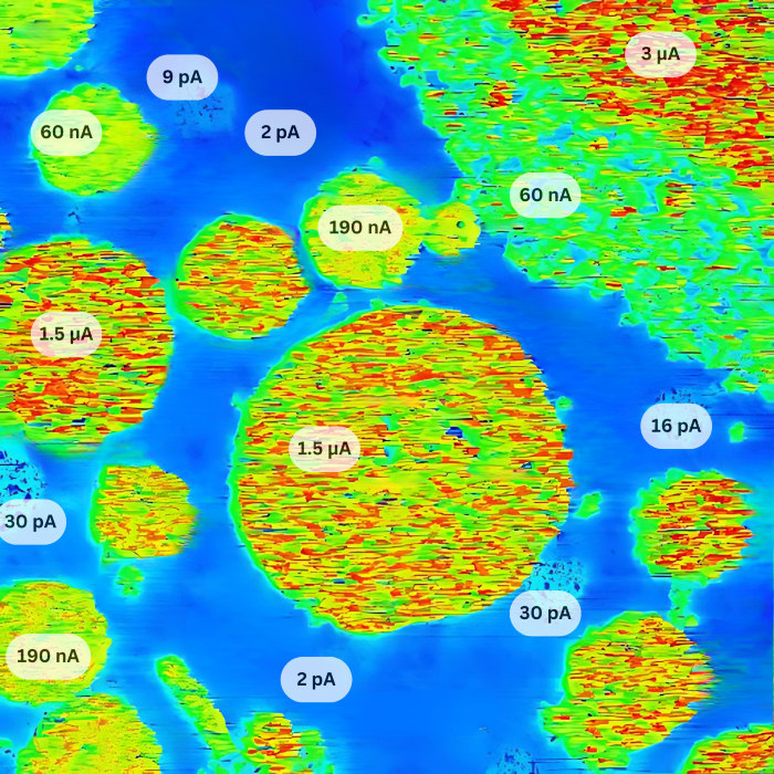 Signal: Current from 2 pA to 3 µA Scan size: 60 microns