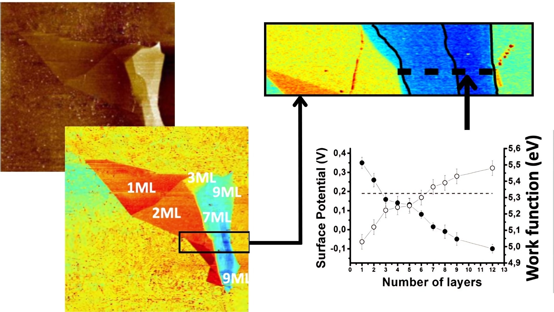 Topography (left) shows different layers, while the potential image(middle) also shows different values for each number of layers.