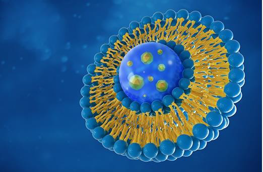 Liposome and lipid nanoparticle formulations enable tar-geted, effective delivery. Shown is a liposome rendering with a drug payload encapsulated in the core, but it can be as well incorporated in the membrane layer or attached to the surface of the particle