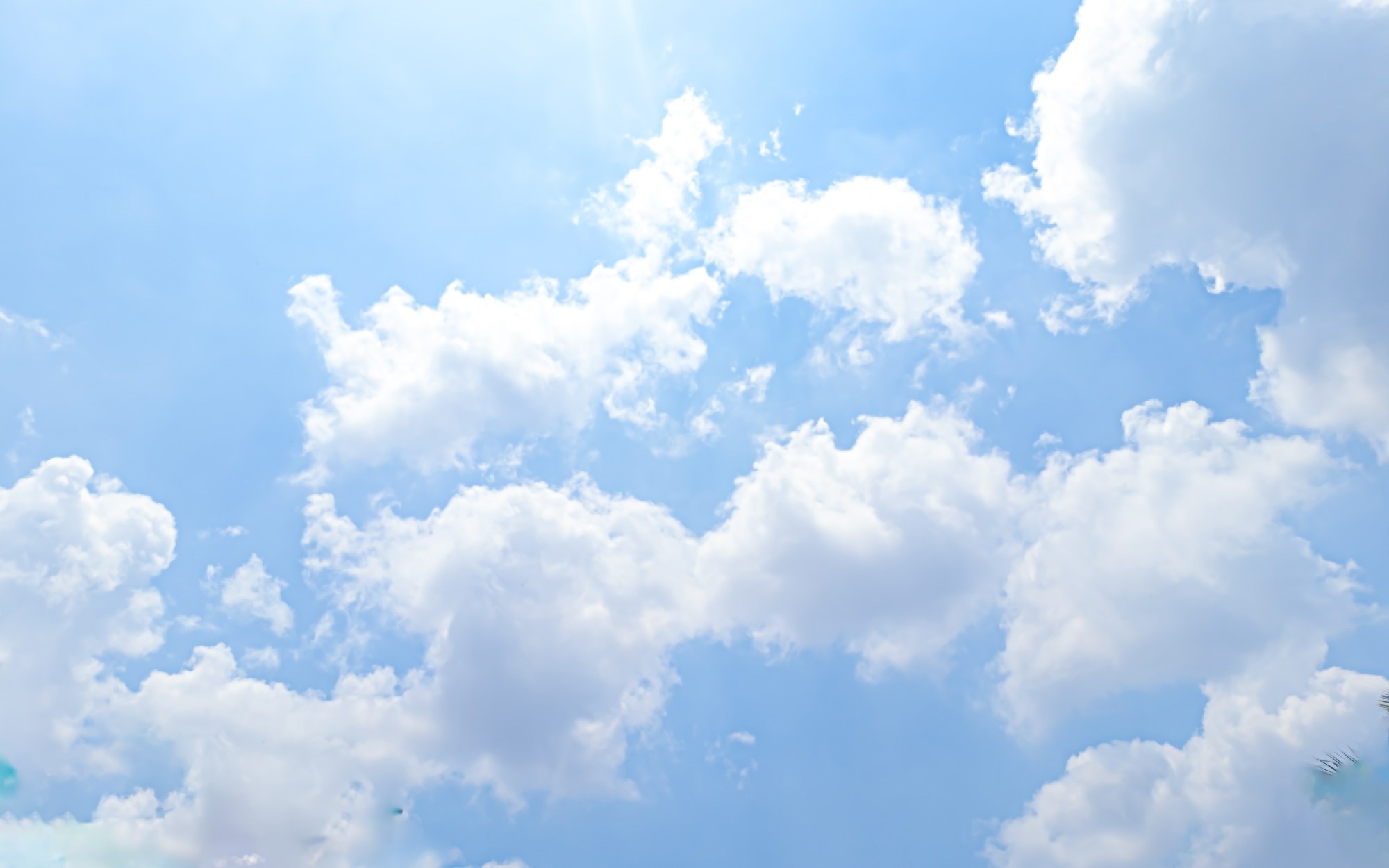 The Role of Isoprene in Cloud Formation