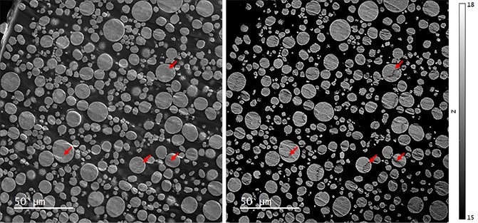 (left) Secondary electron and (right) quantitative backscattered electron (qBSE) images of an NMC 811 powder embedded in epoxy and cross-sectioned by broad beam argon milling. The intensity scale of the qBSE image has been set to display effective atomic numbers 15 – 18. Red arrows indicate some of the regions unsuitable for analysis by Cipher due to the significant contribution of topography to the qBSE signal