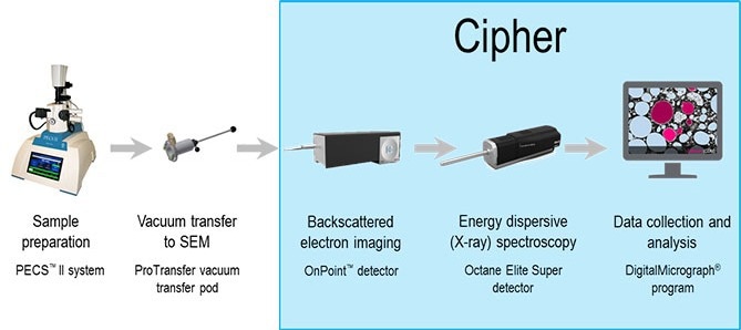 Schematic of Cipher workflow including (from left to right) sample preparation in Gatan PECS II, followed by vacuum transfer to SEM chamber where qBSE and EDS are performed. Once collected, these data are combined and analyzed to produce estimates for Li content