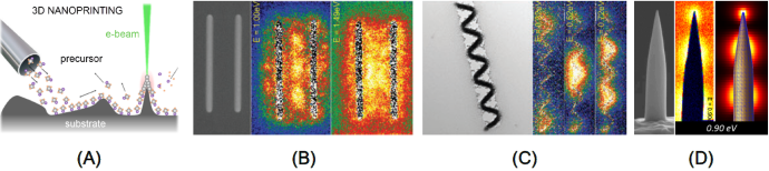 3D nanoprinting using focused electron beams (A) facilitates the flexible fabrication of plasmonic structures from simple (B) to intricate geometries (C), and even fully free-standing 3D architectures (D). Following purification, the material transforms into pure gold, enabling distinct plasmonic responses, as illustrated by the colored STEM-EELS maps. The objective of this study was to achieve full optimization to completely align with simulation predictions, as shown right in panel (D)