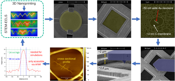 Comprehensive workflow for 3D plasmonic nanostructure analysis. After 3D nanoprinting, STEM- EELS characterization is performed to evaluate the plasmonic functionality (top left box). The FusionScope then begins with SEM overviews to locate the region of interest and identify the specific nanowires of interest (red, top right). Next, the SEM guides the precise approach of the AFM cantilever (blue, bottom row) for high-resolution morphological characterization on ultra- thin membranes. The resulting cross- sectional profiles (bottom left) are used as input for simulations, enabling optimization of the fabrication process [4]
