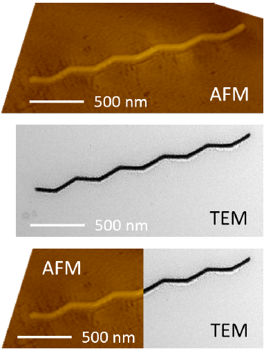 EM-validated AFM data, demonstrating very good agreement in morphological characterization. This comparison highlights the exceptional sensitivity, stability, and reliability of the FusionScope, even when analyzing structures on ultra-thin sub-3 nm membranes, reinforcing its credibility for high-precision nanoscale analysis