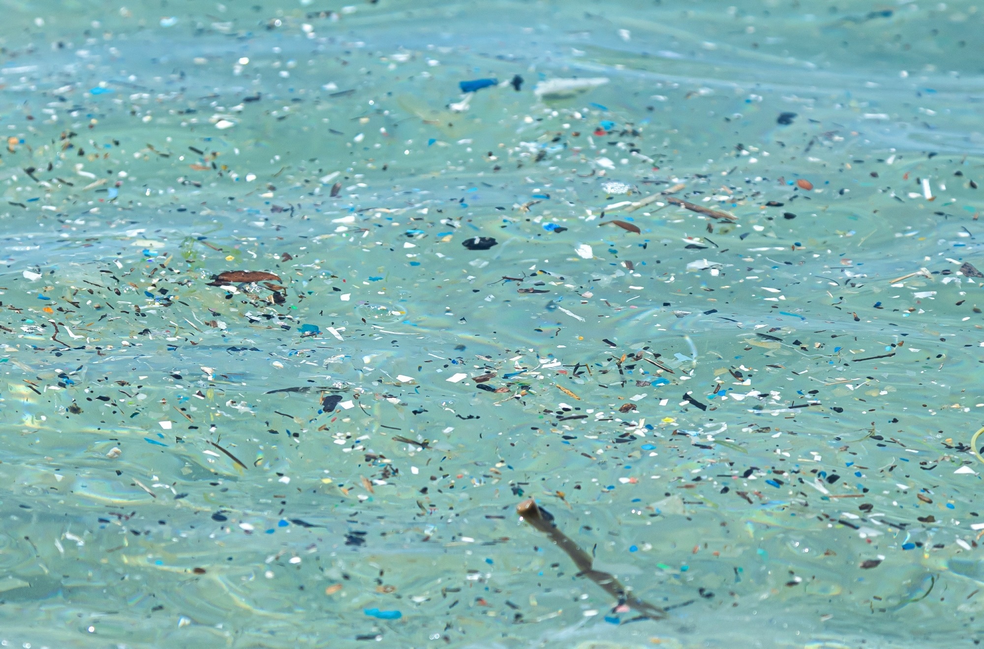 microplastic particles float in the ocean, water pollution.