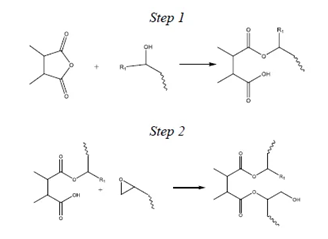 A simplified two-step cure mechanism for the esterification reaction between epoxides and anhydride groups which leads to crosslinking