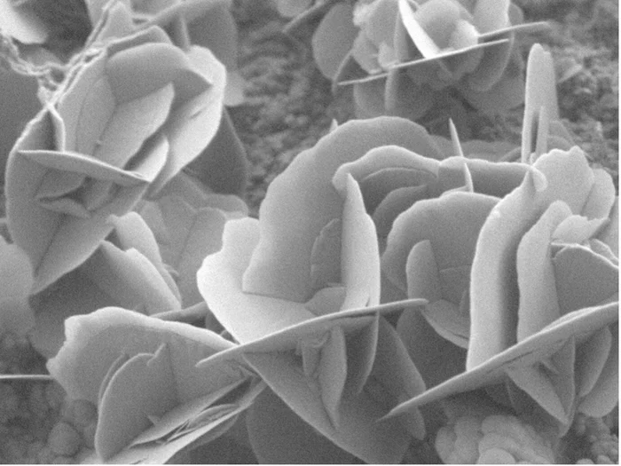 Copper sulphide crystals. 5 kV, SE signal