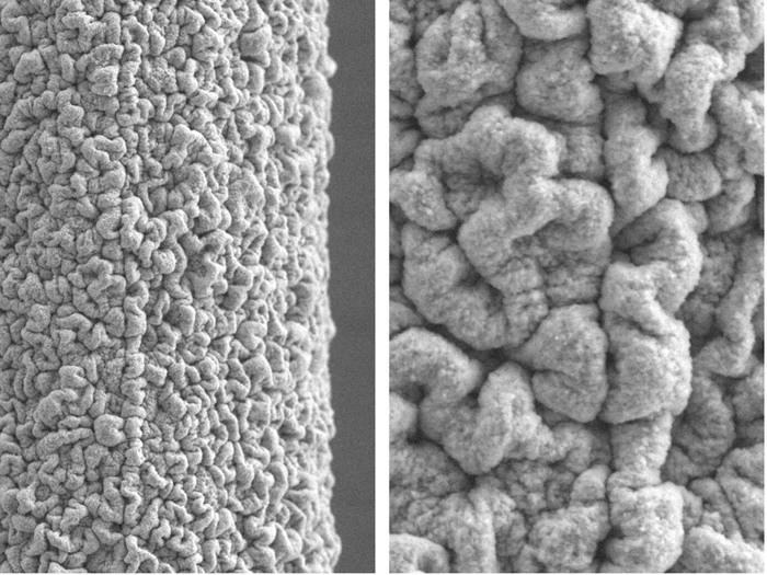 Corroded copper wire. 10 kV, SE signal