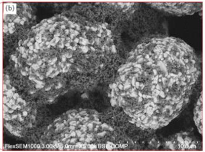 Studying binder distribution on cathode active material (CAM)