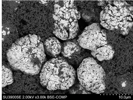 LiB cathode material - Distributions of cathode material particles and surrounding binder can be seen. 