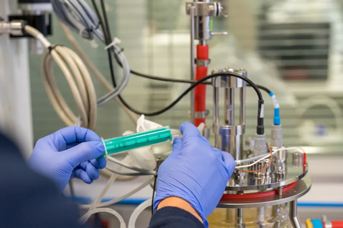 How is Biotechnology Applied in the Plastics Sector?