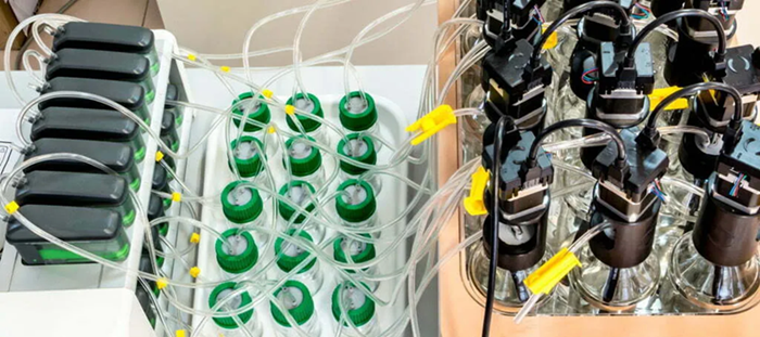 How is Biotechnology Applied in the Plastics Sector?