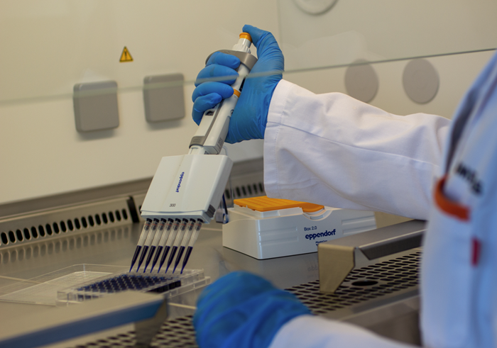 How is Biotechnology Applied in the Plastics Sector?