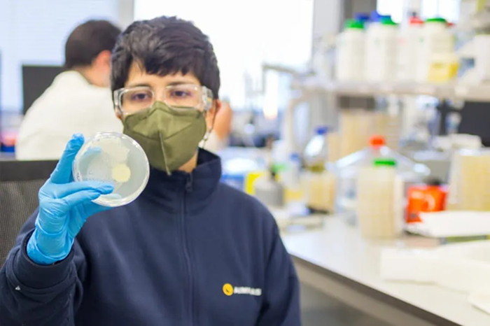 How is Biotechnology Applied in the Plastics Sector?