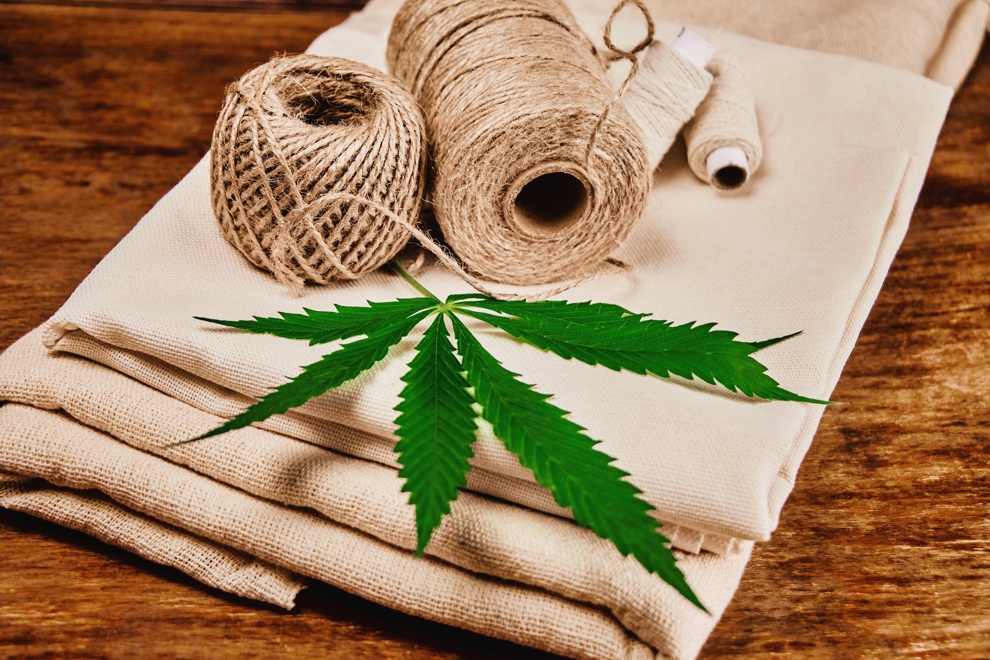 spool and bobbin of hemp threads with a green branch of hemp lie on a strong and durable fabric made of hemp,
