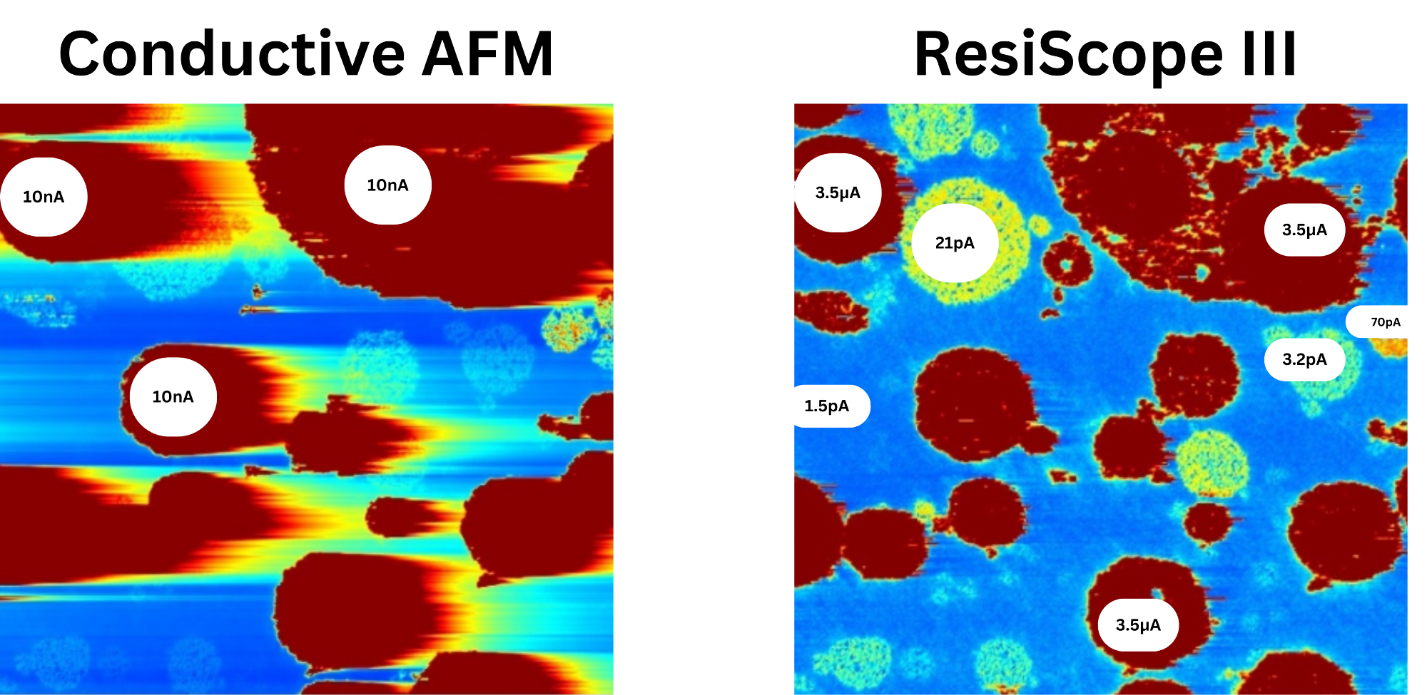Advancing Solid-State Battery Research