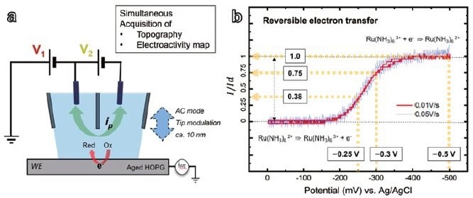 Dual barrel SECCM diagram of the system configuration (a) and SECCM cyclic voltammograms (b)with 5 mM Ru(NH3)6Cl3 (redox couple), 25 mM KCl (reference electrolyte), substrate (WE): HOPG, probe tip diameter: ~ 200 nm, ionic current 24 pA / 100 mV (V2)
