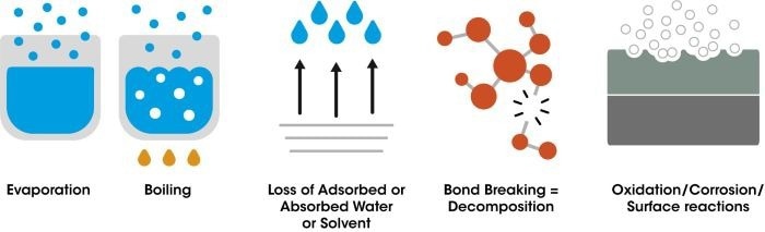 Figure 1. Possible causes of mass loss during heating. Image Credit: TA Instruments