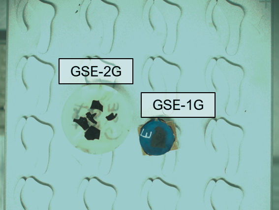 Image of GSE-1G and GSE-2G samples. The image was captured by the Massbox’s macrocamera. From this image, the user chooses points, lines, or areas to analyze on the sample. The samples were placed on a typical sample holder, which required only a few min of sample preparation. The Massbox can analyze an area up to 83 mm by 83 mm in each analytical session