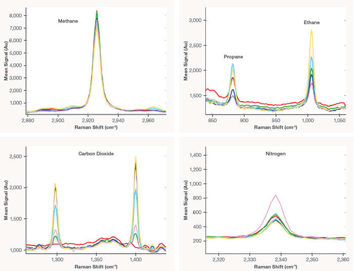 Peaks for the main natural gas components at various concentrations