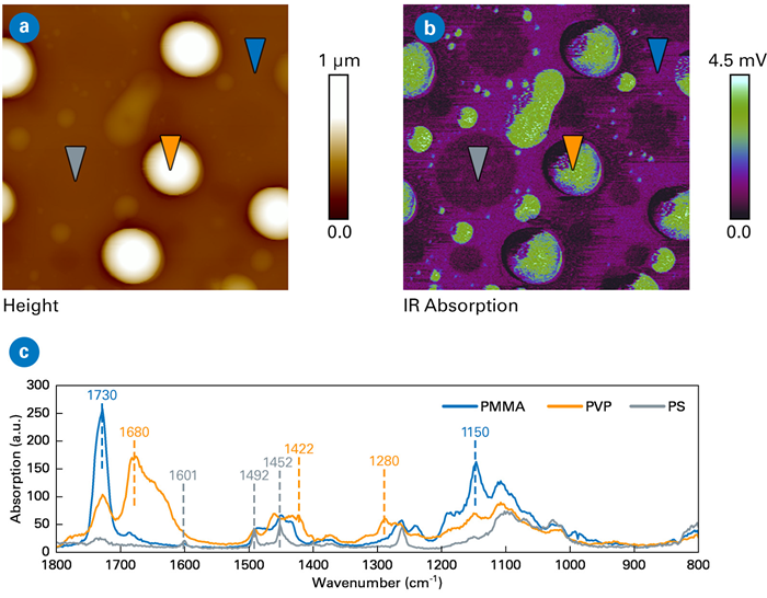 AFM-IR data