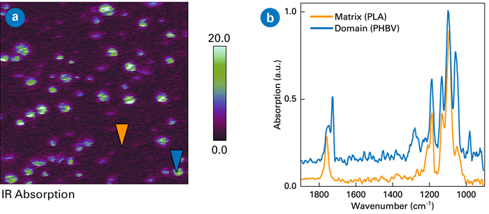 AFM-IR characterization of PLA/PHBV blend with 10% PHBV. Scan sizes 5x5 µm. a) IR ratio image of 1750 and 1760 cm-1, b) AFM-IR spectra measured at positions indicated in the phase image