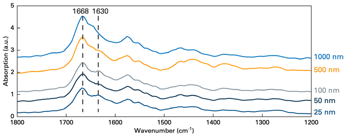AFM-IR spectra collected from the Al/PA6 interface, which showed an additional peak at 1630 cm-1 due to hydrogen bonding formation