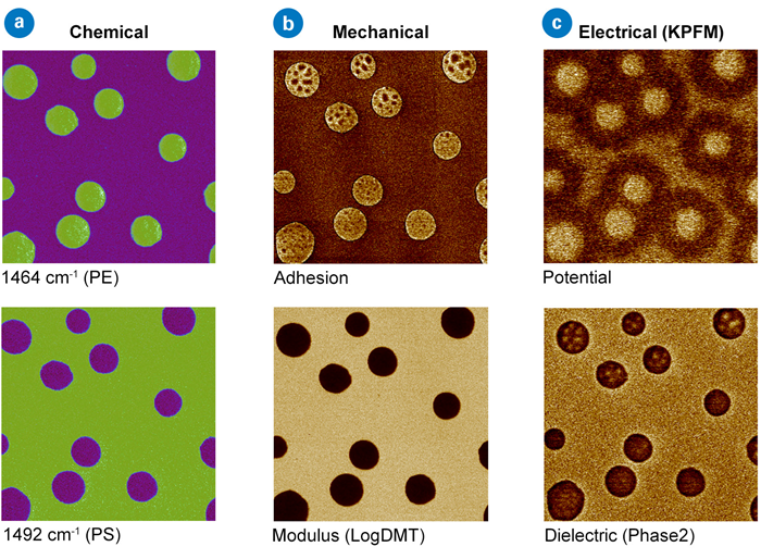 Correlative study of PS/LDPE, providing (a) chemical, (b) mechanical, and (c) electrical characterizations of the polymer blend. Scan sizes 5x5 µm