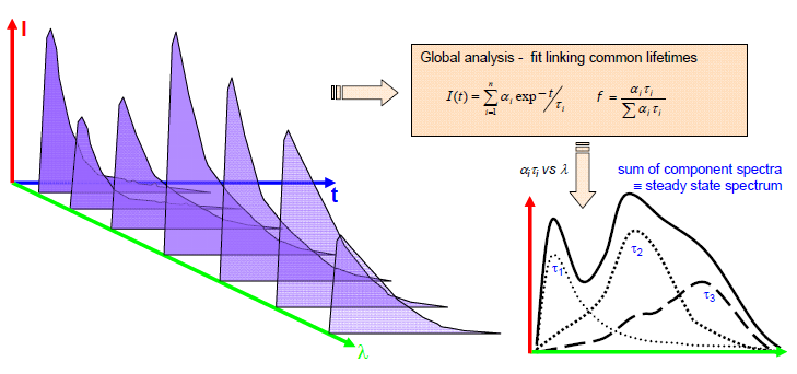 Scheme for obtaining decay associated spectra
