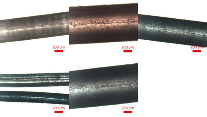 Optical micrographs recorded of various fiber samples; white monofilament gillnet, red monofilament gillnet, green monofilament gillnet, green polytwine gillnet, and blue monofilament gillnet (from top left to bottom right)