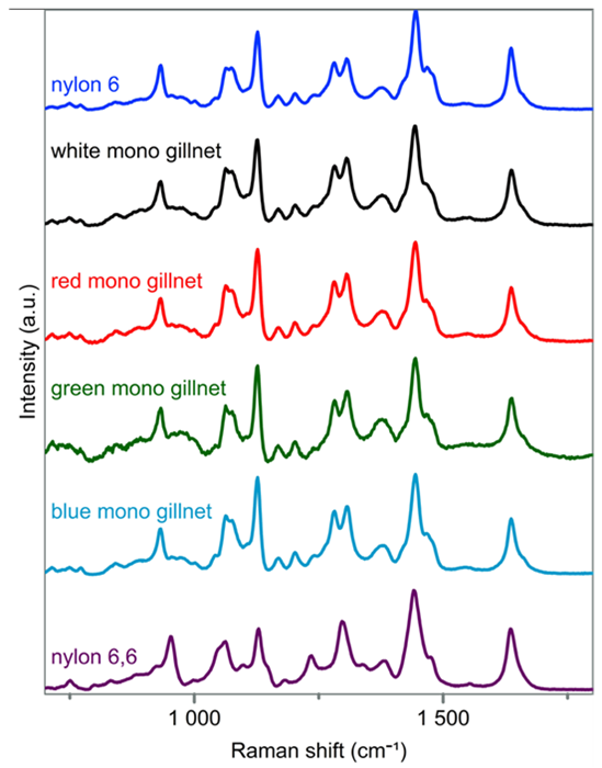 Reference spectra of nylon 6 and nylon 6,6 are shown at the top and bottom, respectively. The spectra of unknown monofilament gillnet samples are plotted in the middle labeled by color (white, red, green, blue)