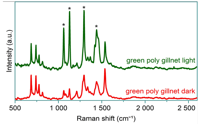 Baseline corrected spectra of light (top) and dark (bottom) colored strands from the green polytwine gillnet sample. The asterisks indicate bands of significantly differing intensity between the two measurements