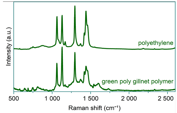 Reference spectrum of polyethylene (top) and subtracted spectrum of the light strand from the green polytwine gillnet sample (bottom)