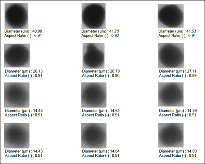 Aspect ratio distribution graph (width/length) for LFP-2 from imaging unit accessory (LY-9610).