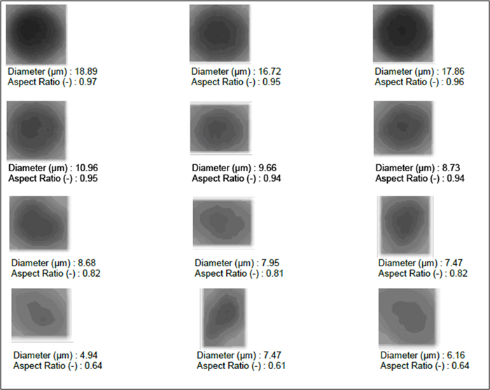 Particle image list for LFP-2 from imaging unit accessory (LY-9610).