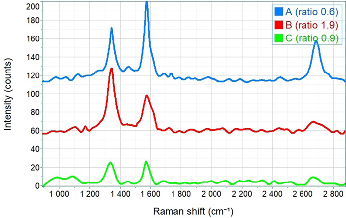 Raman spectra of the three main components of the carbon powder