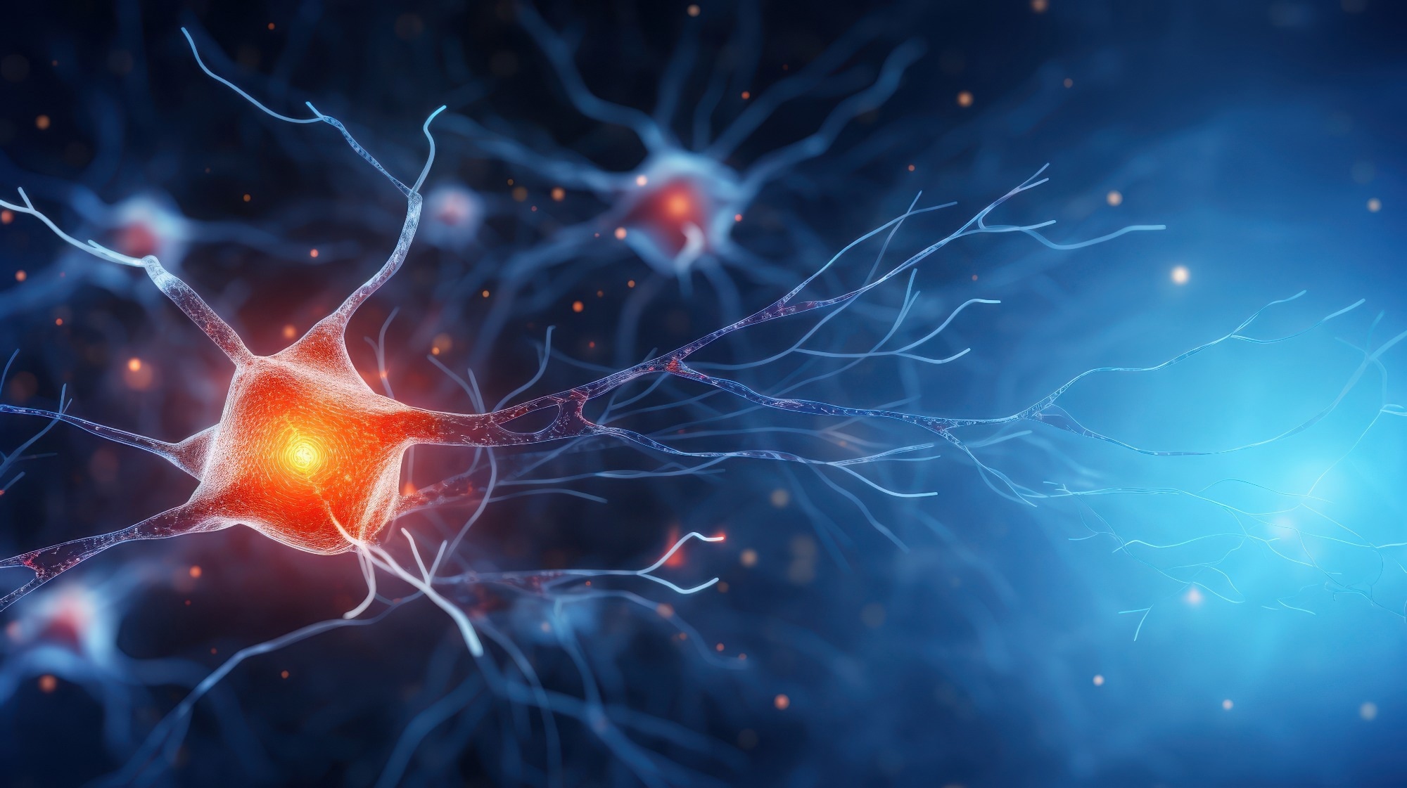 A 3D rendering of a network of neurons