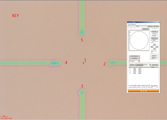 Patterned cross; the Region of Interest (ROI) is located next to the number 1 at the center of the cross.