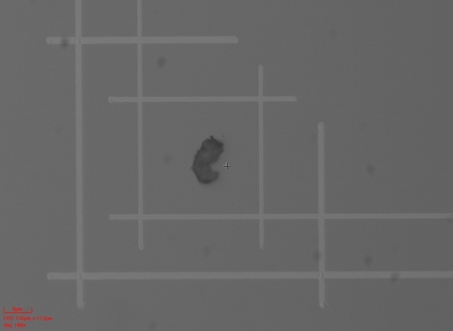 A staggered pattern improves the ability to locate the ROI in the analysis tool after FIB-preparation of the sample