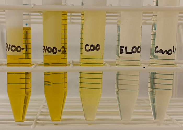 Olive oil samples. From left to right: EVOO-1, EVOO-2, COO, ELOO, Canola Oil