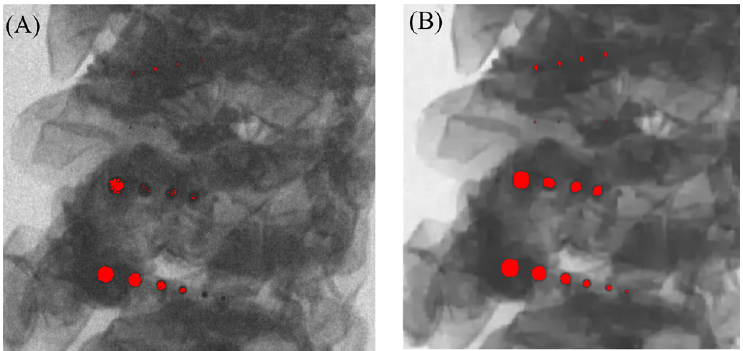 Comparison between raw (A) and AI de-noised (B) X-ray images of raw pork meat. By applying a simple threshold to the image grey levels, in the AI de-noised image better results are obtained in the identification of contaminants (red dots)