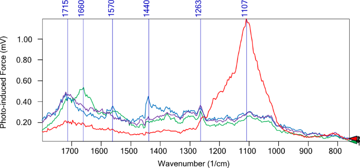 Point PiF-IR spectra acquired from colored triangles indicated in Figure 2