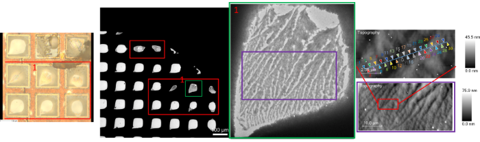 STEM image of recrystallized ascorbic acid sample on second and third from left. Topography images acquired on far right, both top and bottom using PiFM instrument. Top far right has colored triangles indicating where point PiF-IR spectra were acquired from. Far left is an optical view of the sample seen with the integrated optical microscope in the PiFM instrument