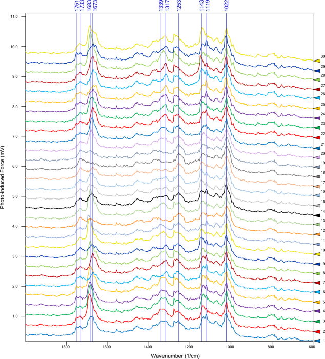 PiF-IR spectra obtained from colored triangle locations in the upper right image from Figure 5