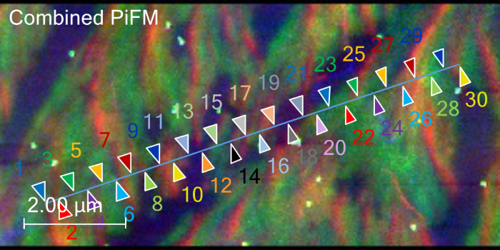 Combined PiFM image, coloring in the 1733 (blue), 1670 (green), and 1144 (red) cm<sup>-1</sup> areas