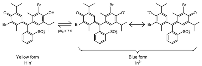 Acidic (yellow) and basic (blue) form of BTB, dependent on the pH of the solution