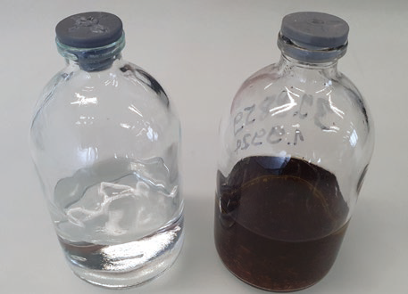Example of two extraction bottles. Left: Blank bottle containing methanol. Right: Sample bottle with the added Rooibos tea and msol and mext written directly onto it.