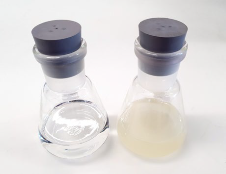 Example of two dissolution flasks. Left: blank flask containing 1-decanol. Right: Sample flask with the butter dissolved in 1-decanol