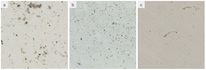 Examples of mosaic or count field: a) in permafrost sample, b) in soil sample, c) in seawater